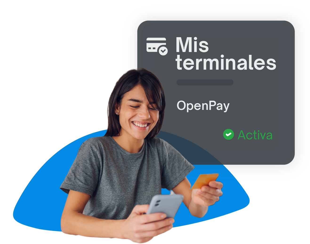 administracion de pagos